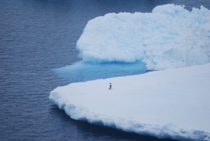 Antarktis årsskiftet 2010-2011 